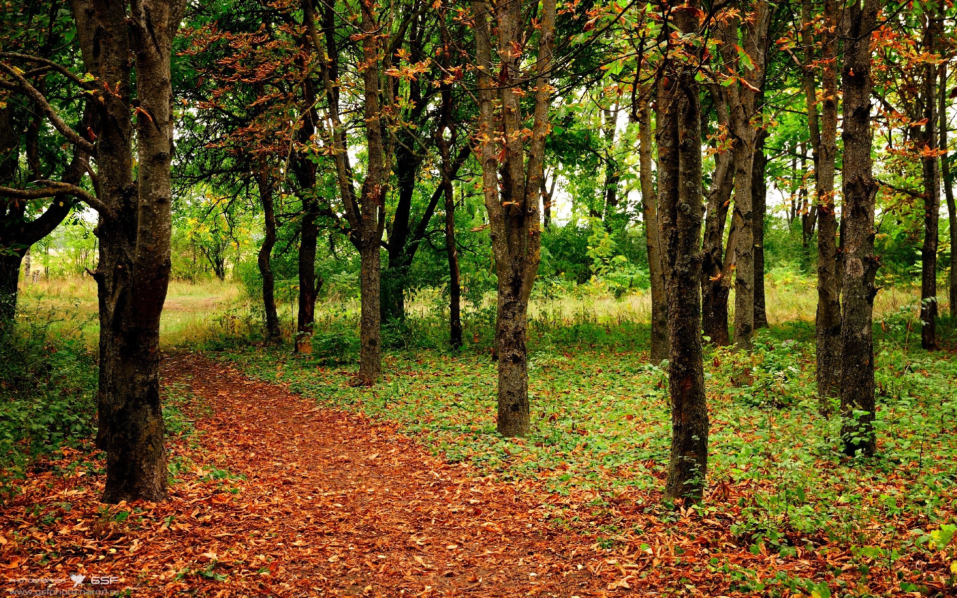 赛道与球场的双城记，F1街道赛焦点战与雄鹿关键战突围上海队